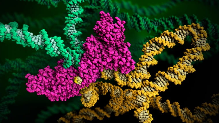 ‘HIV enzyme integrase’ by RCSB Protein Data Bank is licensed under CC BY 4.0